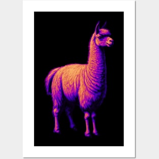 Trippy Llama Posters and Art